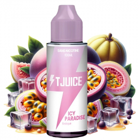 Icy Paradise 100ml - T-Juice