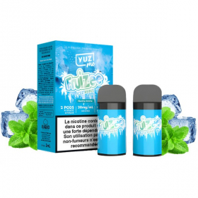 Pod Icee Mint Yuz Me Fruizee - Eliquid France