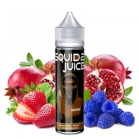 Master 50ml - Squid Juice 2