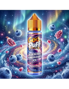 Blueberry Pomegranate Ice 50ml - Goo Puff