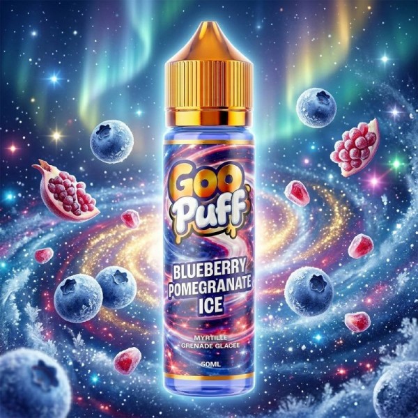 Blueberry Pomegranate Ice 50ml - Goo Puff