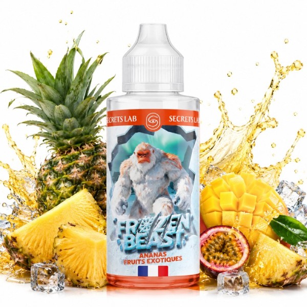 Ananas Fruits Exotiques 100ml - Frozen Beast