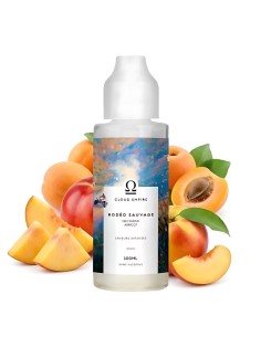 Rodéo Sauvage 100ml - Cloud Empire