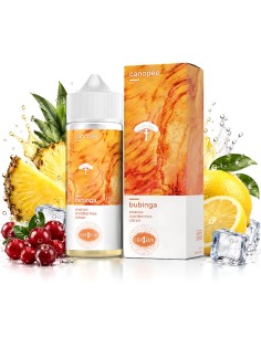 Bubinga 100ml - Edition Canopée