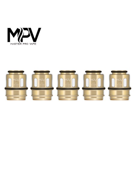 Résistances Serie Z (x5) - MVP