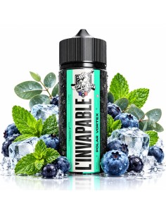 L’INVAPABLE Polar Vortex 100mL – Baies, Menthol & Eucalyptus