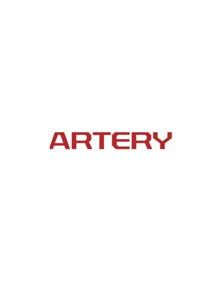 ARTERY